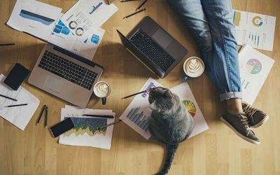 Fear of failure: If your year hasn’t quite gone to plan, read this!